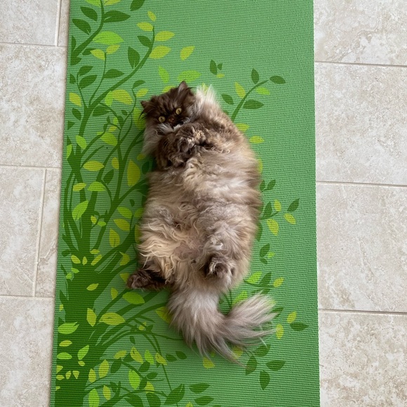 Meet your Posher, Emma - Picture 1 of 1